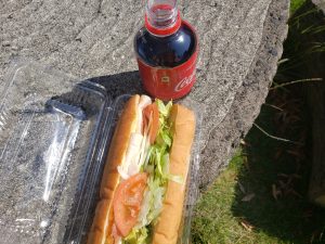 Subwayのサンドイッチとコーラ